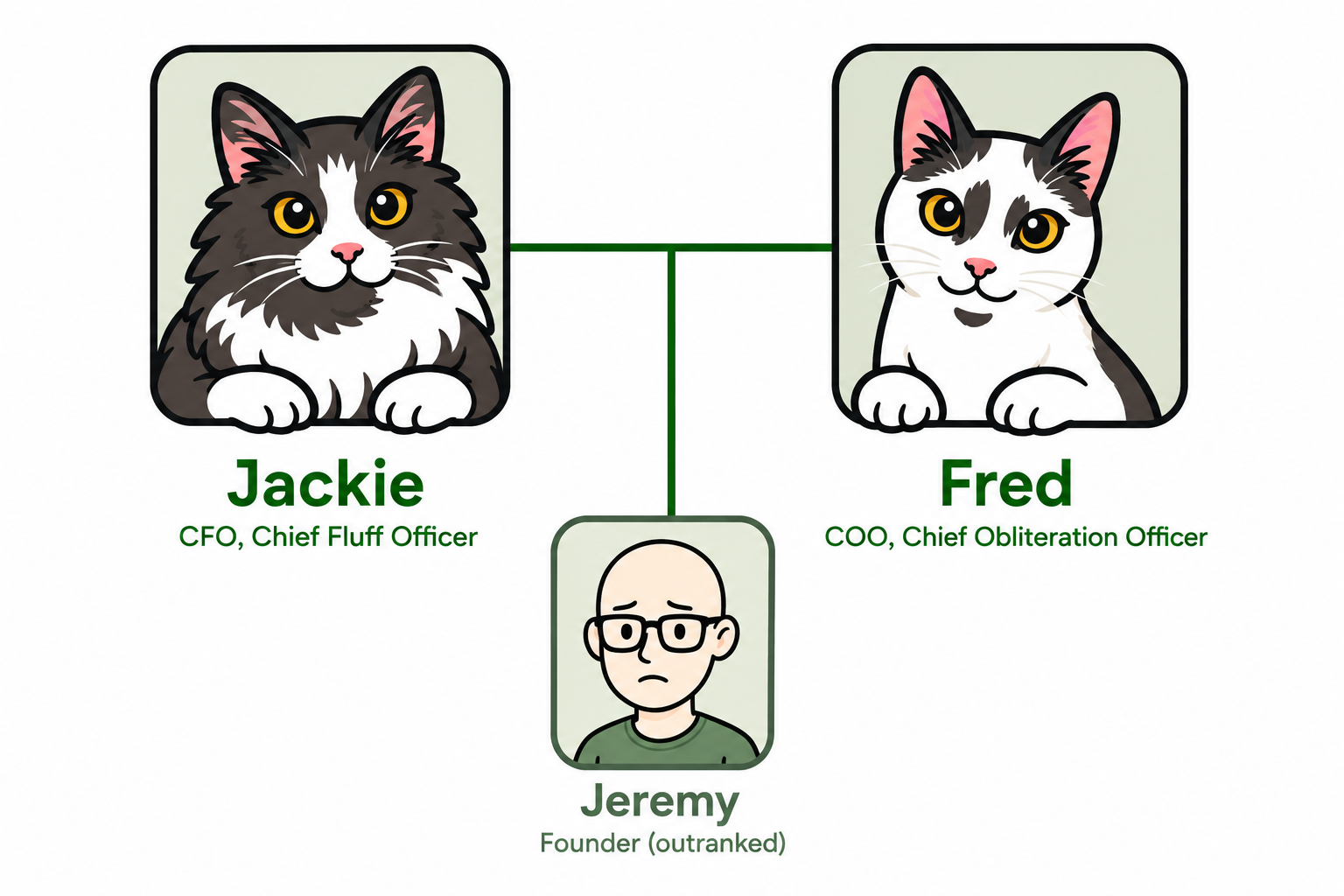 Org chart: Jackie as CFO (Chief Fluff Officer), Fred as COO (Chief Obliteration Officer), Jeremy as Founder (outranked)